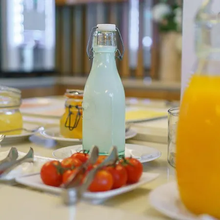 茹拉尔里奥酒店 4* 奥利韦拉-迪阿泽梅什