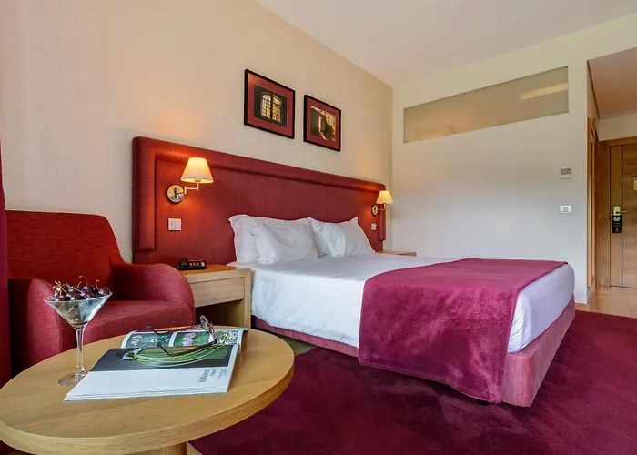 茹拉尔里奥酒店 奥利韦拉-迪阿泽梅什