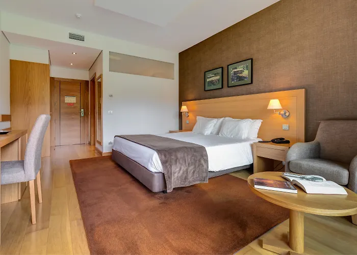 茹拉尔里奥酒店 酒店 奥利韦拉-迪阿泽梅什