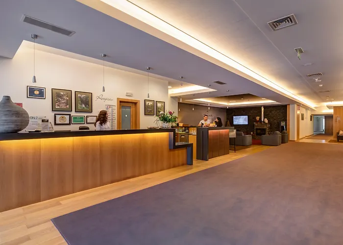 茹拉尔里奥酒店 奥利韦拉-迪阿泽梅什