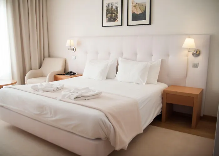 茹拉尔里奥酒店 酒店 奥利韦拉-迪阿泽梅什