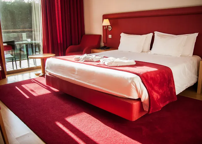 茹拉尔里奥酒店 4* 奥利韦拉-迪阿泽梅什