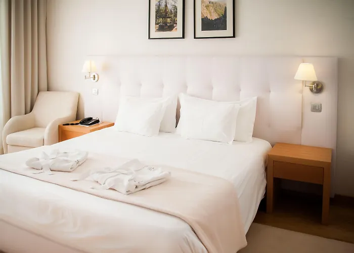 茹拉尔里奥酒店 酒店 奥利韦拉-迪阿泽梅什