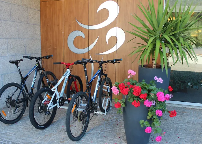 茹拉尔里奥酒店 4* 奥利韦拉-迪阿泽梅什